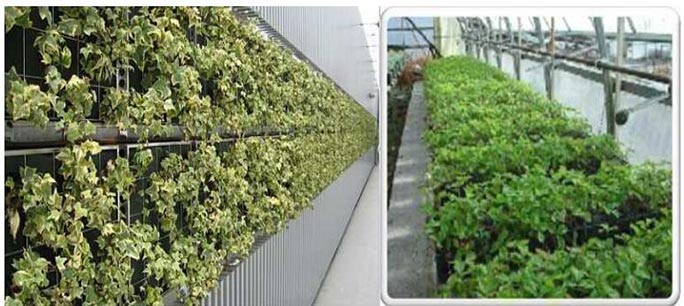 湖南草字頭生態環境建設有限公司,人造草坪假草皮,湖南雨水收集處理工藝 湖南草字頭生態環境建設有限公司,人造草坪假草皮,湖南雨水收集處理工藝